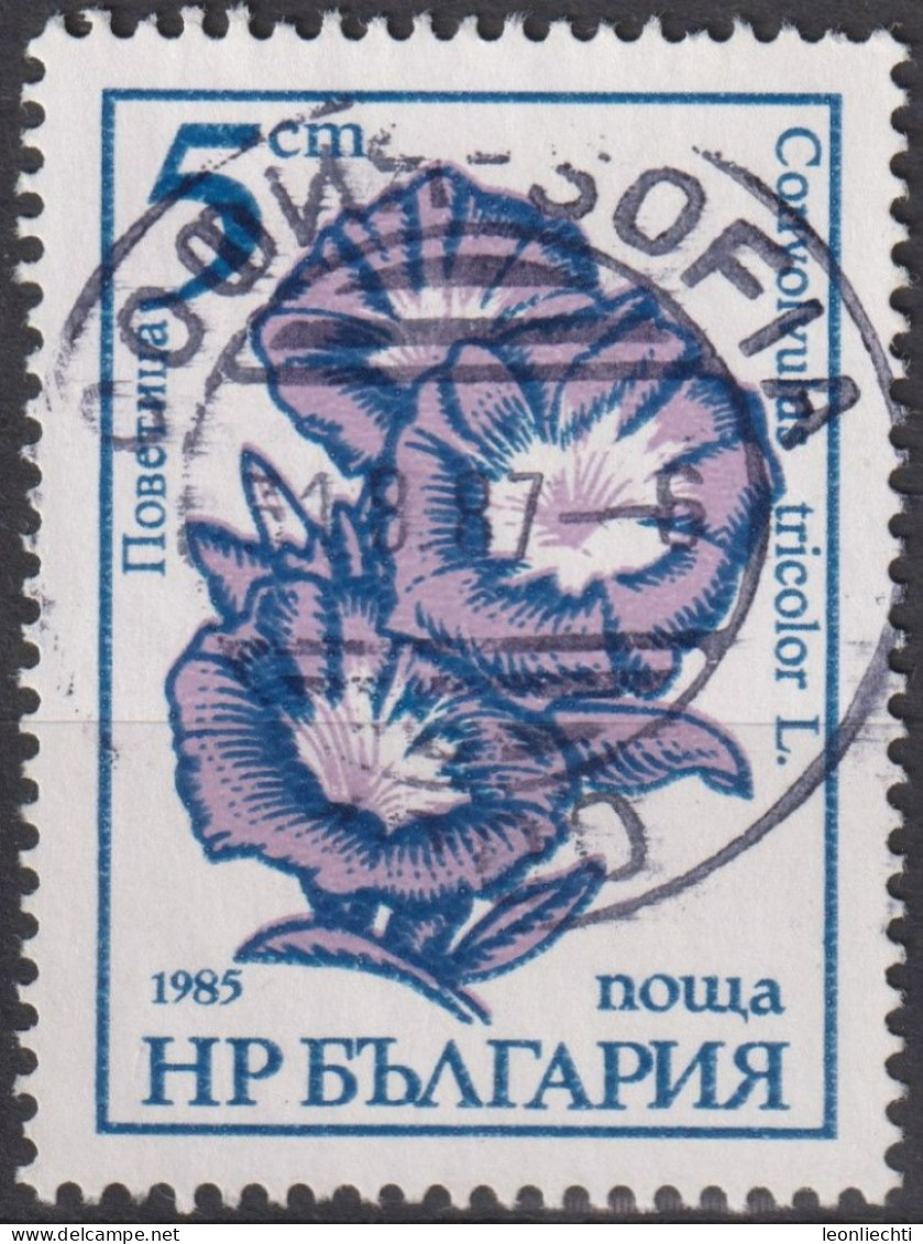 1985 Bulgarien ° Mi:BG 3407a, Sn:BG 3107, Yt:BG 2955, Bindweed - Convolvulus Tricolor, Gartenblumen - Gebraucht