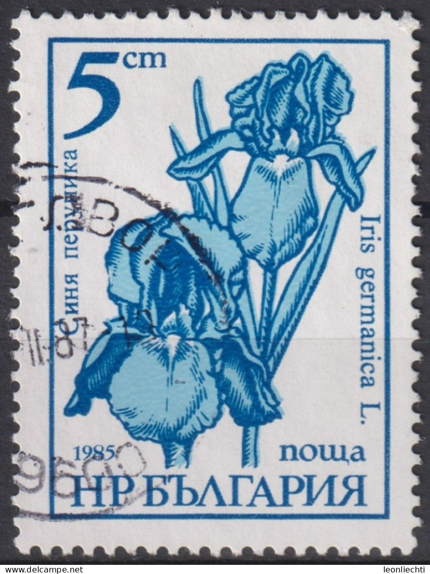 1987 Bulgarien ° Mi:BG 3405b, Iris Germanica, Gartenblumen - Used Stamps