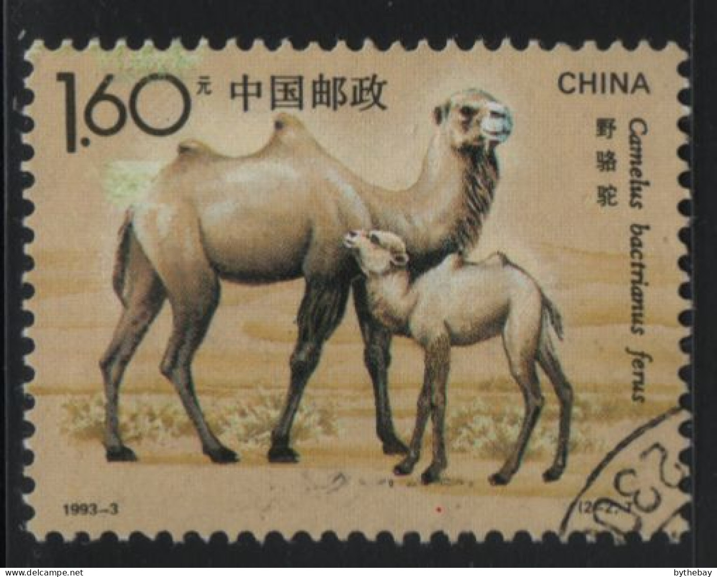 China People's Republic 1993 Used Sc 2434 $1.60 Camels - Used Stamps