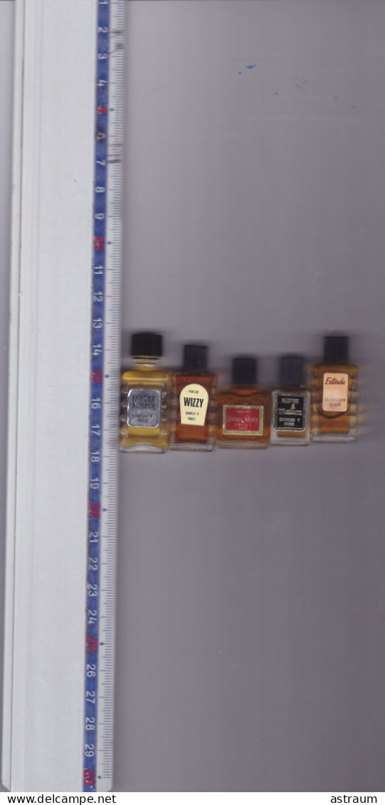 Lot 5 Miniature Parfum Ancienne - Charles V - EDT - Description Ci Dessous - Miniatures Femmes (sans Boite)