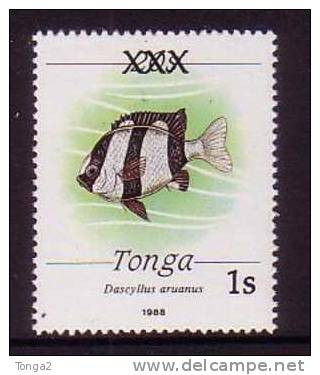 Tonga Rare Fish Ovpt - Locally Done Due To Shortage - Most Missed Out - MNH - Tonga (1970-...)