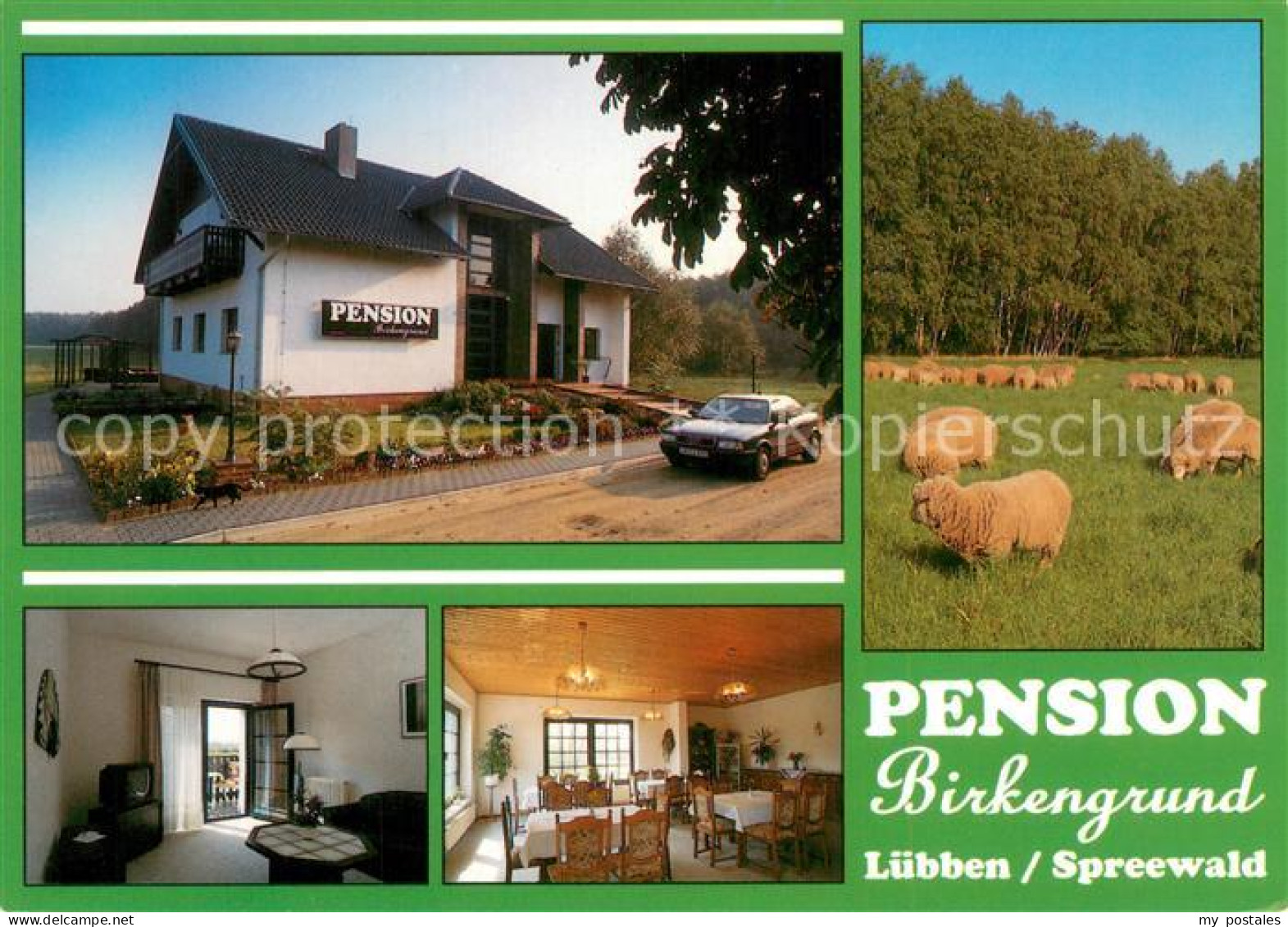 73716802 Luebben Spreewald Pension Birkengrund Gastraum Fremdenzimmer Schafherde - Lübben (Spreewald)