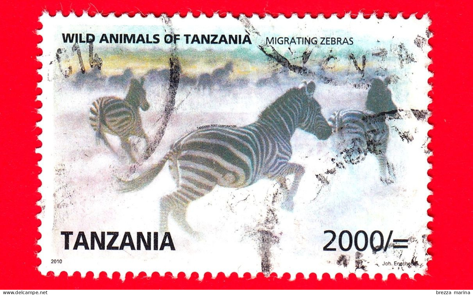 TANZANIA - Usato - 2009 (2010) - Animali Selvatici - La Zebra Di Grant - 2000/= - Tansania (1964-...)