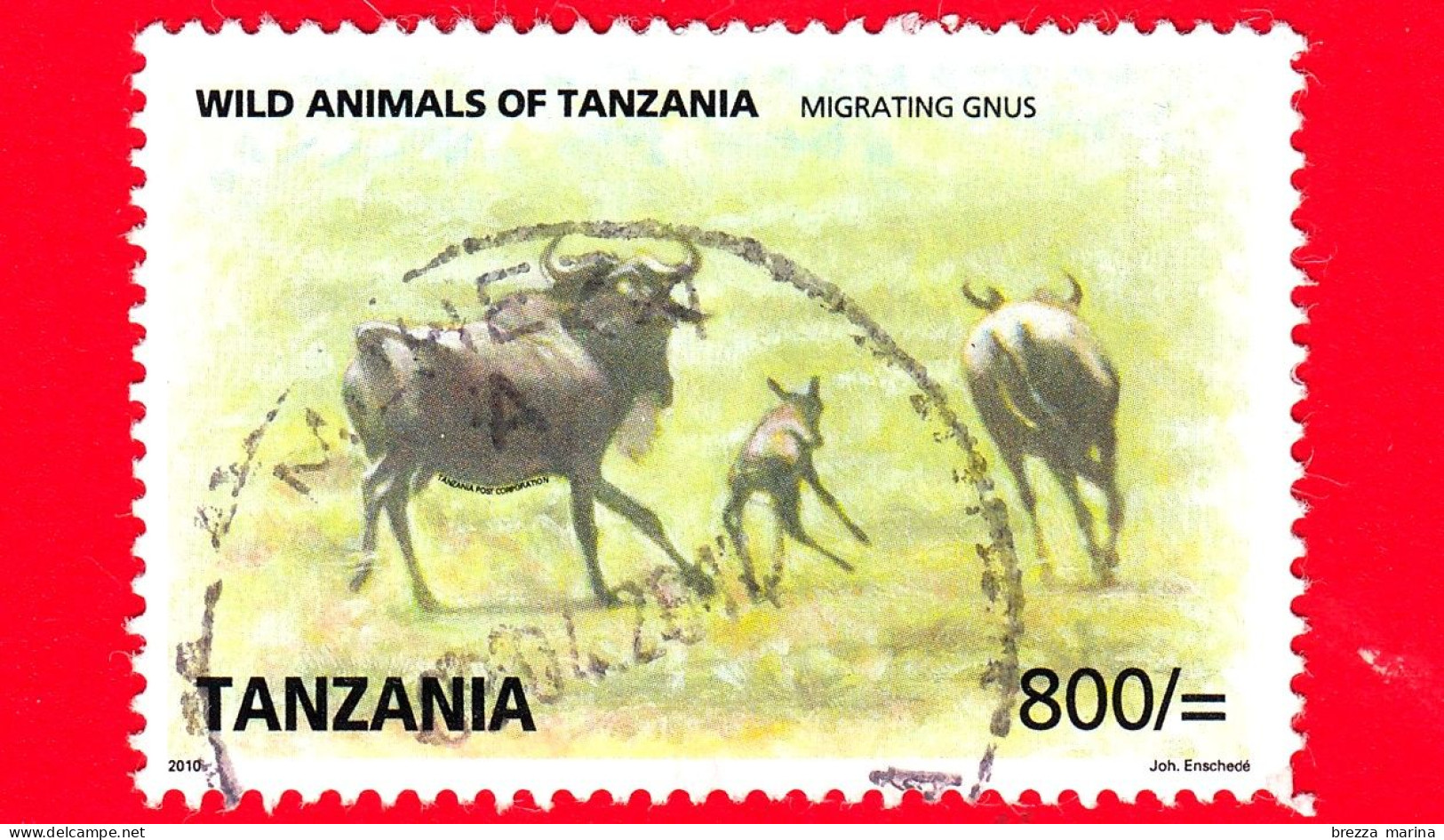 TANZANIA - Usato - 2009 (2010) - Wild Animals Of Tanzania - Antilopi - Migrating Gnus -  800/= - Tansania (1964-...)