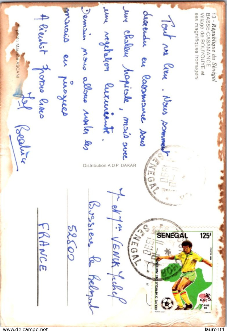 25-2-2024 (1 Y 11 A) Sénégal & Trees     (posted To France) With Sénégal FOOTBALL Stamp - Arbres