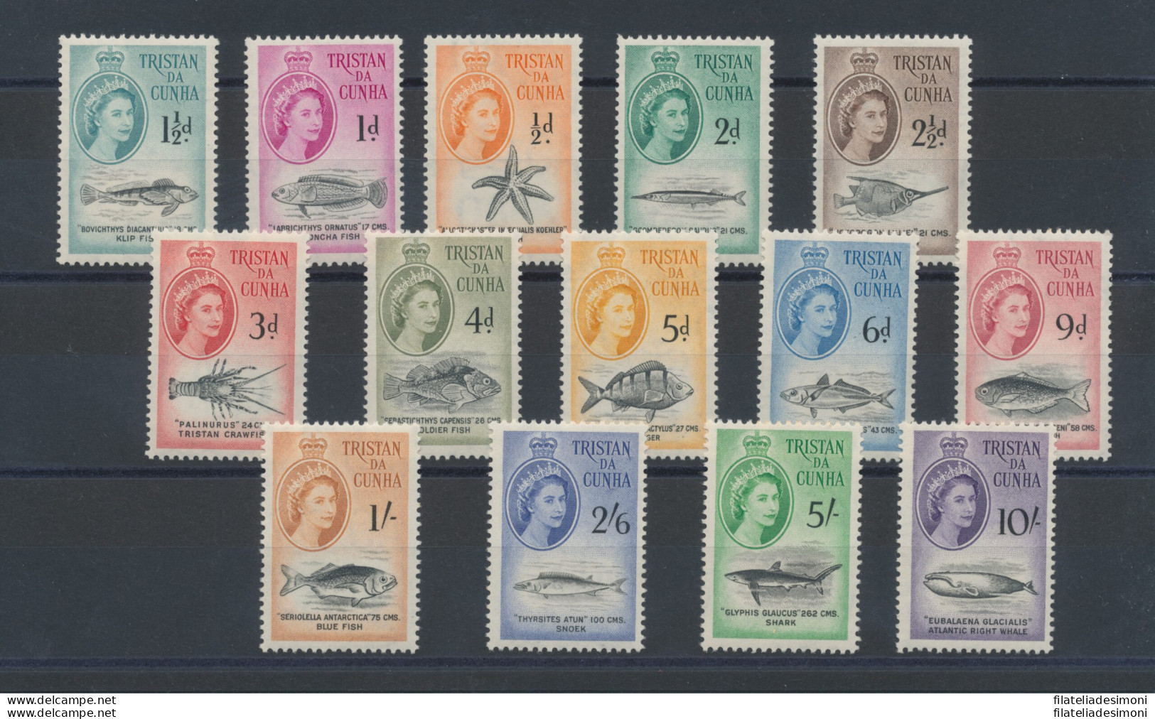 1960 TRISTAN DA CUNHA -  Queen Elizabeth II - Marine Life , Stanley Gibbons N. 2 - Other & Unclassified