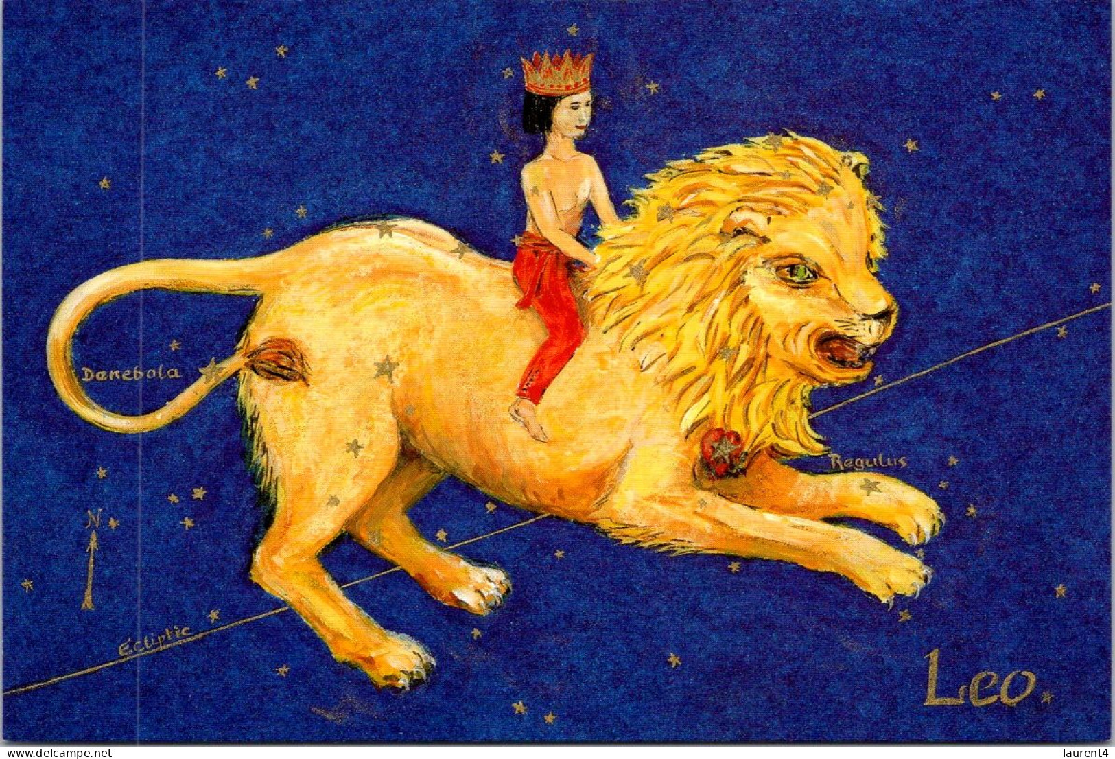 25-2-2024 (1 Y 13 A) Australia - Zodiac Sign - Leo (lions) - Lions