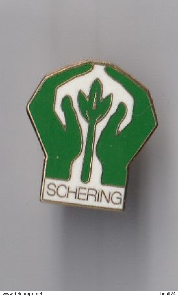 PIN'S   THEME MEDICAL  LABORATOIRE DE PHARMACIE   SCHERING - Médical