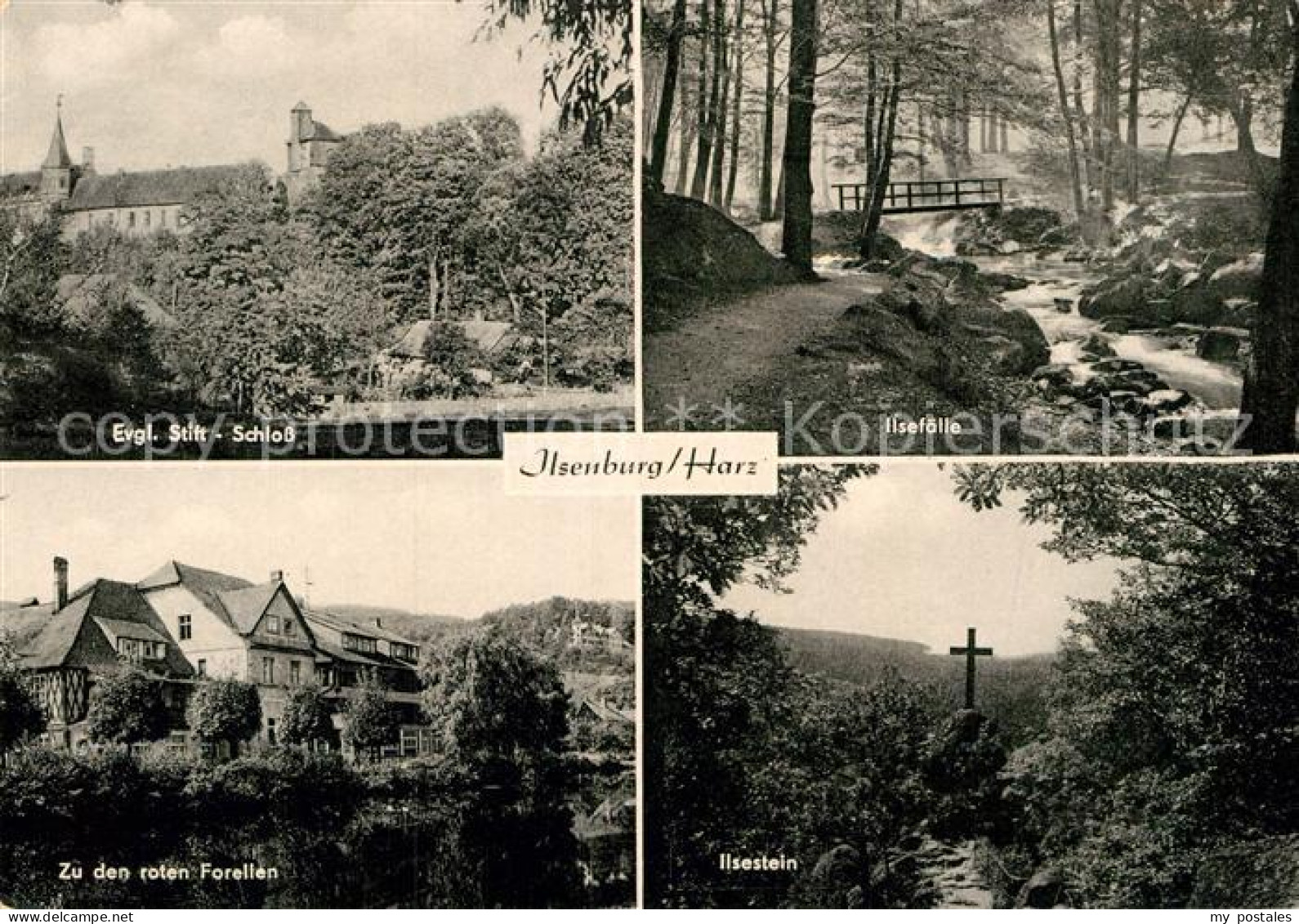 72941128 Ilsenburg Harz Ilsestein Zu Den Roten Forerllen Evgl. Stift-Schloss  Il - Ilsenburg