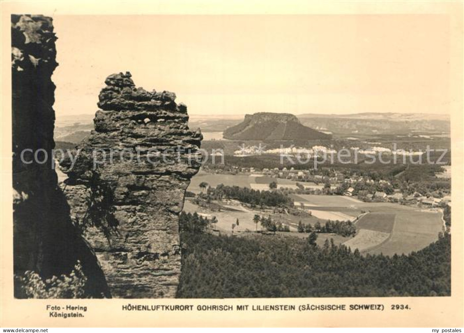 72940718 Gohrisch Landschaftspanorama Mit Lilienstein Tafelberg Gohrisch - Gohrisch