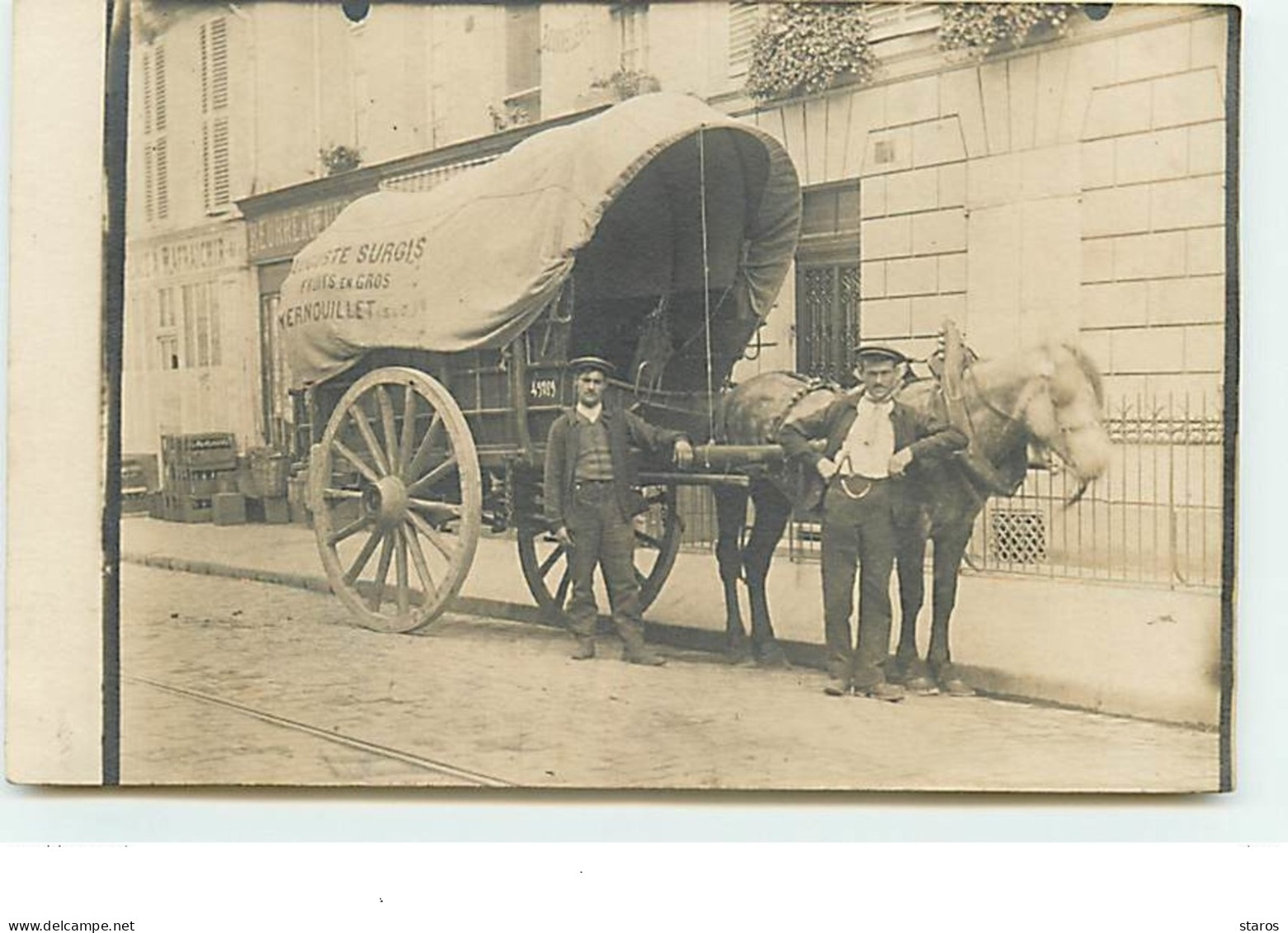 Carte-Photo - VERNOUILLET - Auguste Surgis - Fruits En Gros - Vernouillet