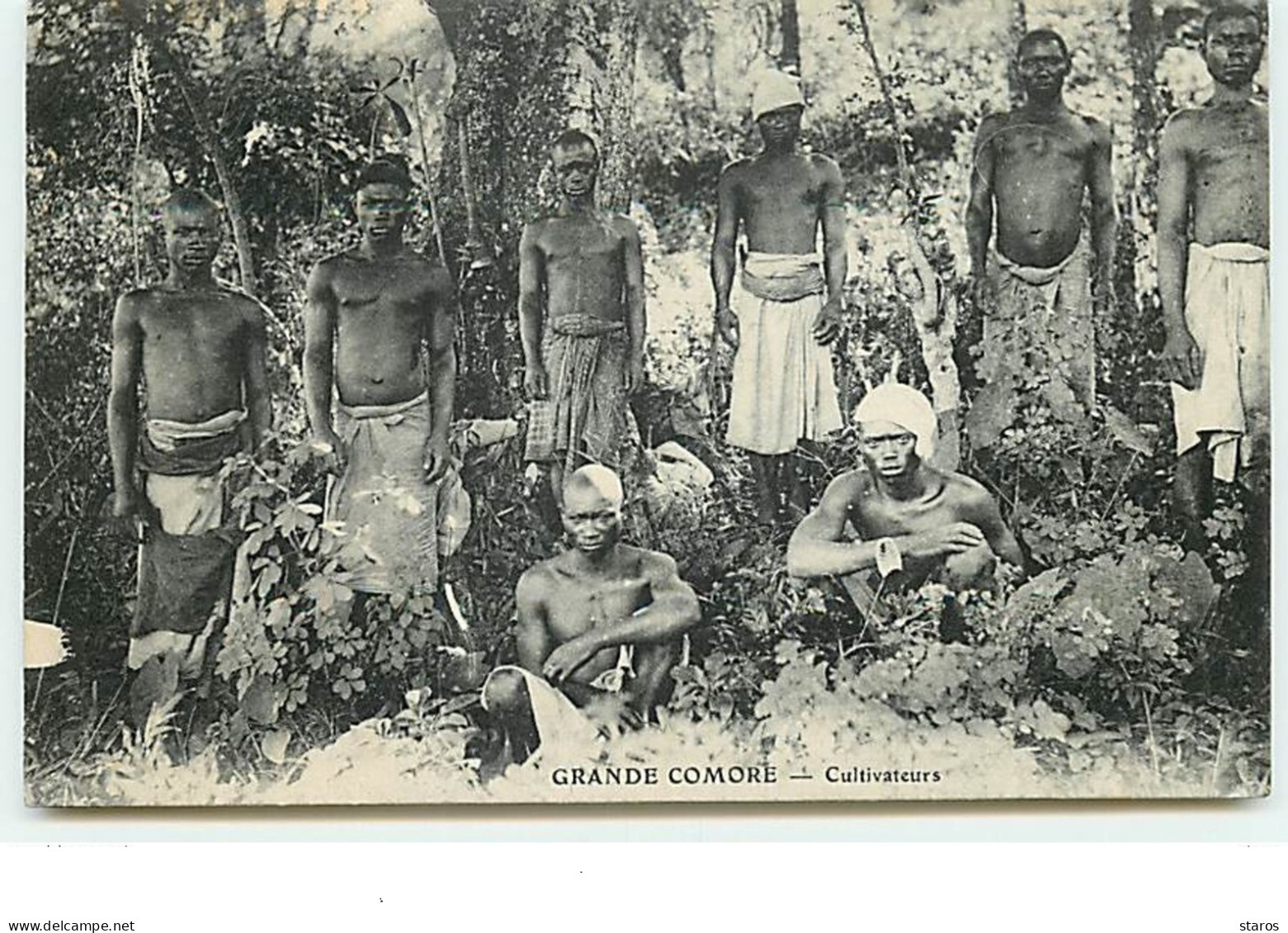 GRANDE COMORE - Cultivateurs - Comores