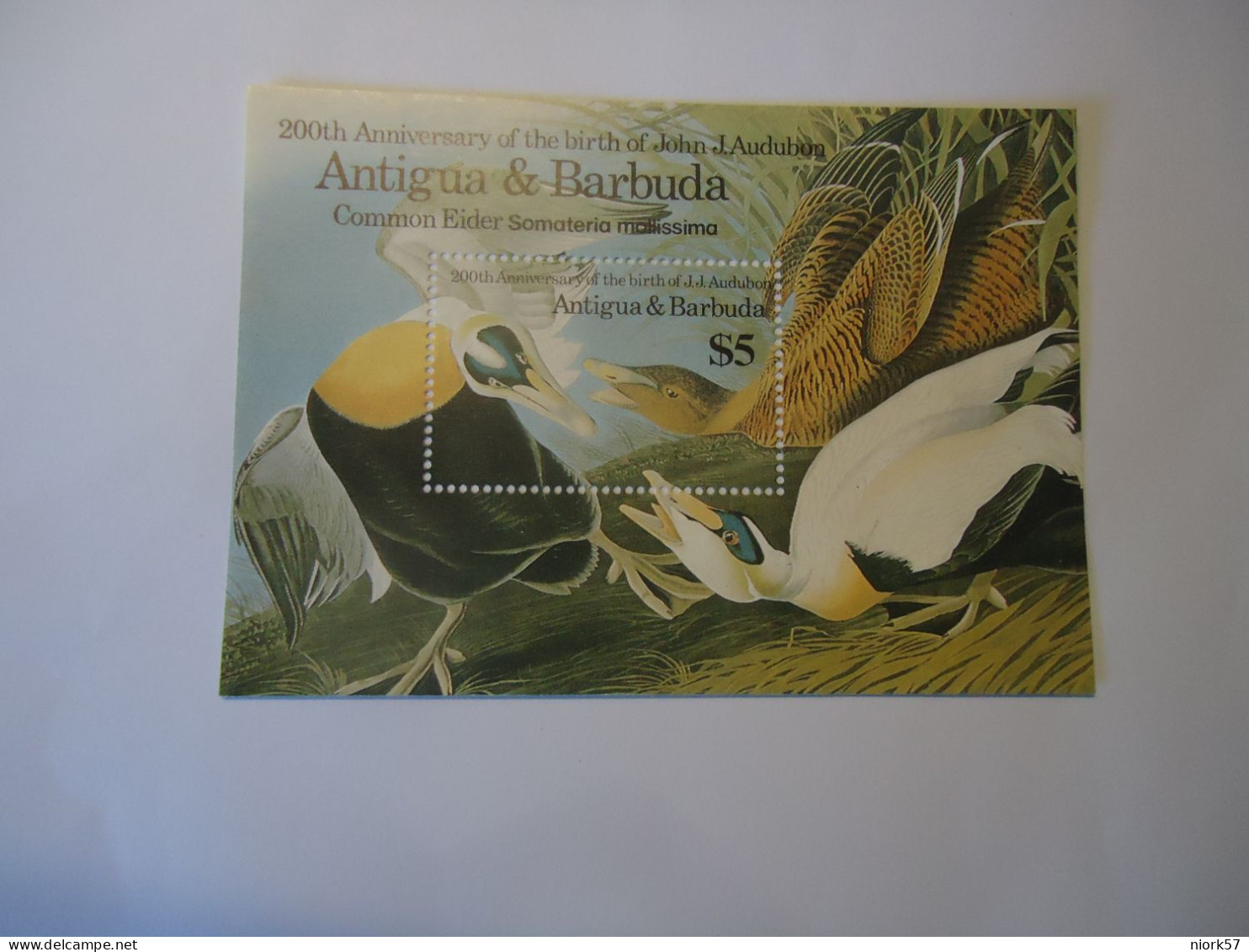 ANTIGUA  & BARBUDA  MNH  STAMPS SHEET AUDUBON  1986  DUCKS - Anatre