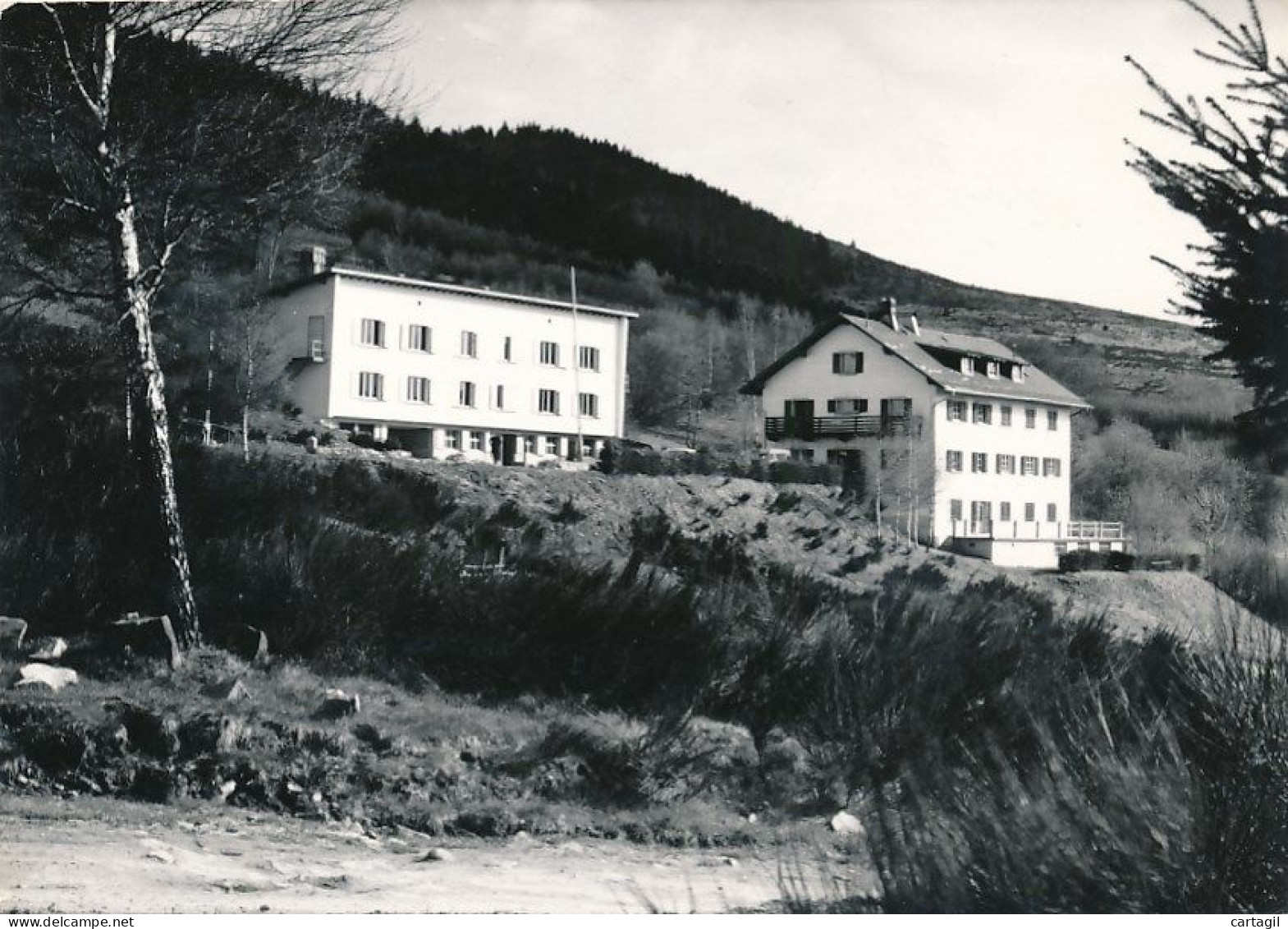 CPM GF  (1971) - 35495 -67 - Wildersbach (Rothau) - Centre De Vacances Des Pupilles D'Alsace-Livraison Offerte - Rothau