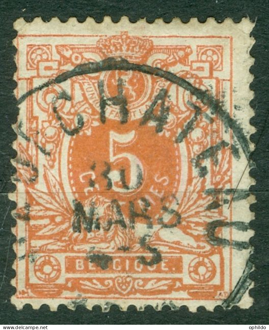 Belgique   28  Ob  TB   Obli  Neufchateau   - 1869-1888 Lion Couché