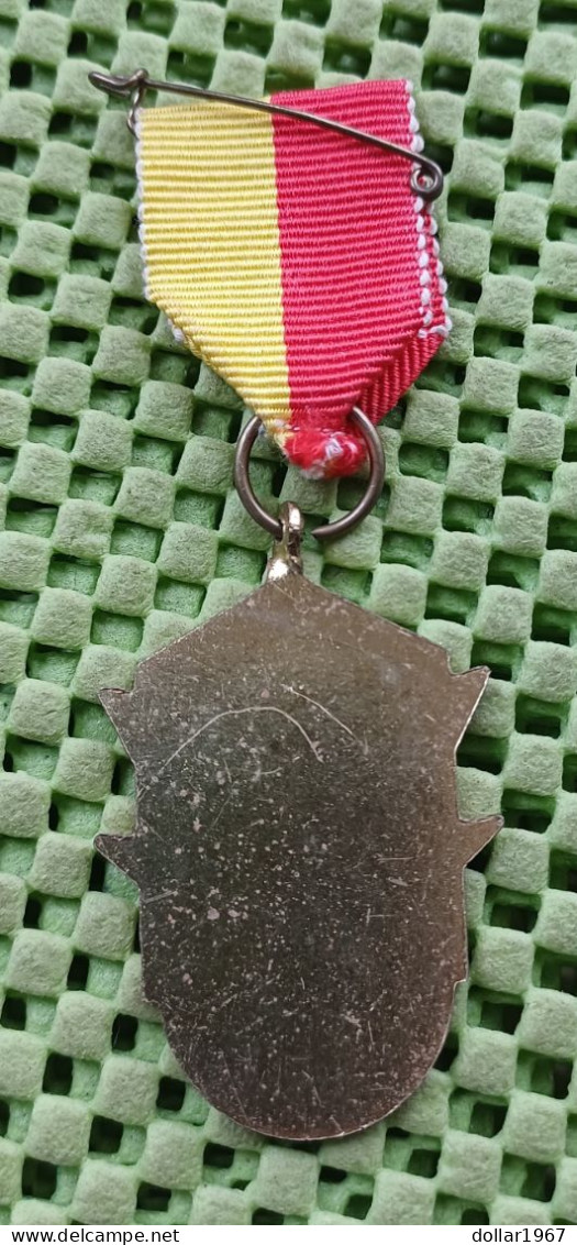 Medaille -   Lentertocht : A.W.F. Apeldoorn.   -  Original Foto  !!  Medallion  Dutch - Monarquía/ Nobleza