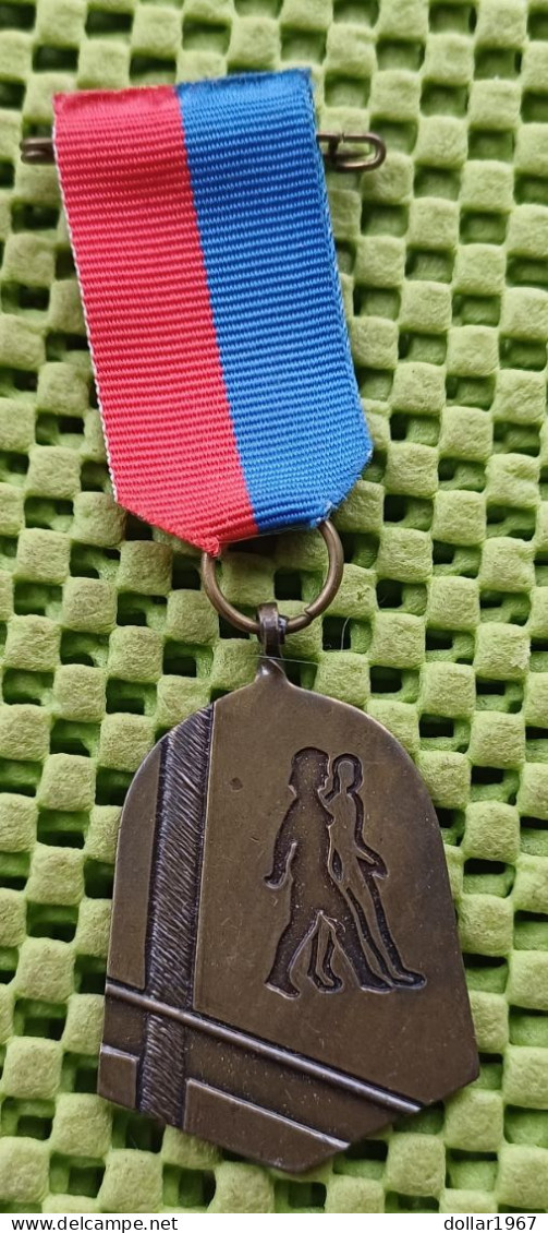 Medaille -   Wandelkring Haaksbergen  E.O.    -  Original Foto  !!  Medallion  Dutch - Royal/Of Nobility