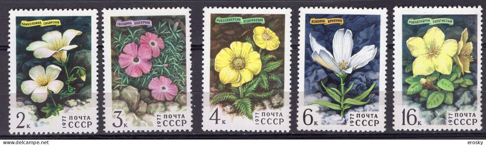 S6479 - RUSSIE RUSSIA Yv N°4366/70 ** Fleurs - Neufs