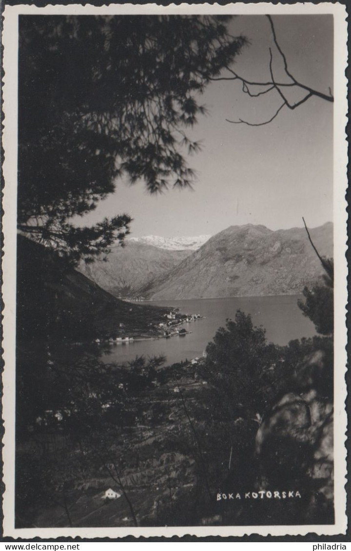 Kotor, Photo Picture Postcard, Unused - Montenegro