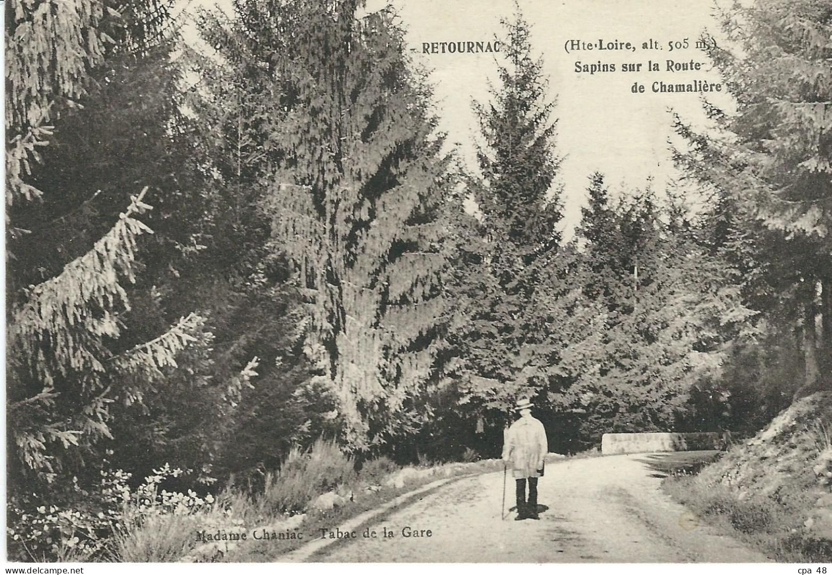 HAUTE LOIRE : Retournac, Sapins Sur La Route De Chamalière - Retournac