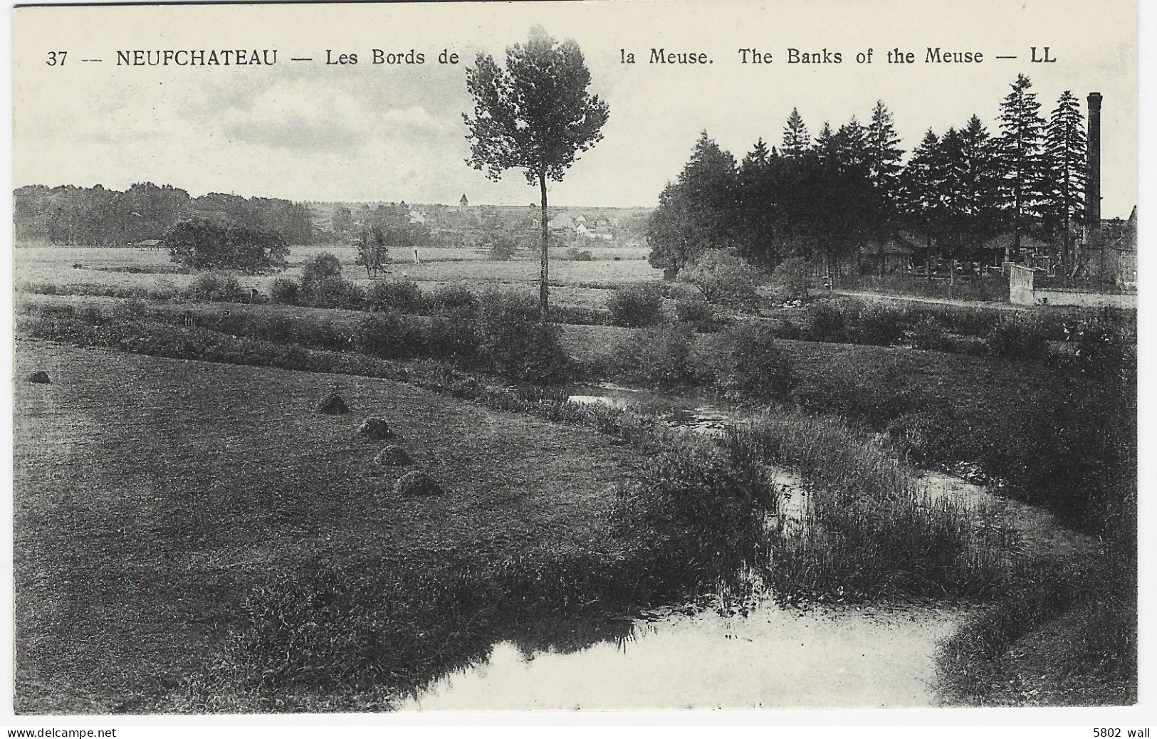 NEUFCHÂTEAU : Les Bords De La Meuse - Neufchâteau