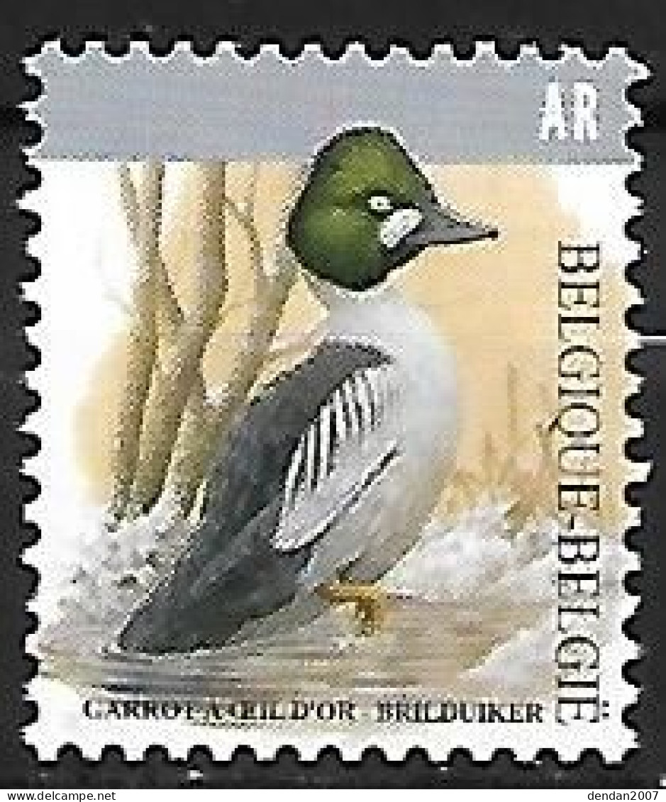 Belgium - MNH ** BUZIN 2020 : Brilduiker / Common Golden Eye - Bucephala Clangula - Anatre