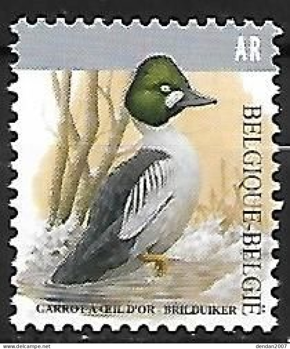Belgium - MNH ** BUZIN 2020 : Brilduiker / Common Golden Eye - Bucephala Clangula - Ducks