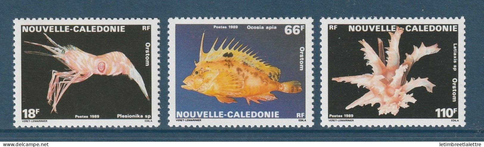 Nouvelle Calédonie - YT N° 576 à 578 ** - Neuf Sans Charnière - 1989 - Neufs