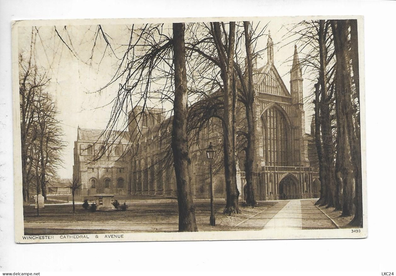 WINCHESTER CATHEDRAL & AVENUE. - Winchester