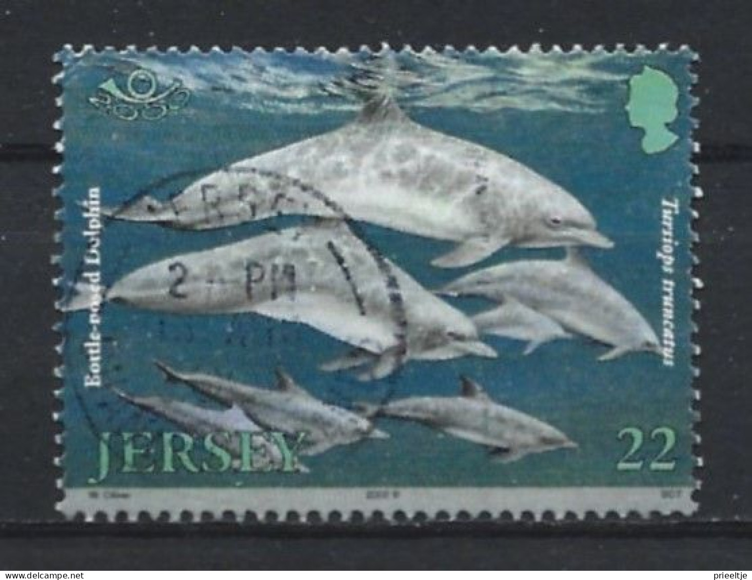 Jersey 2000 Fish Y.T. 937 (0) - Jersey