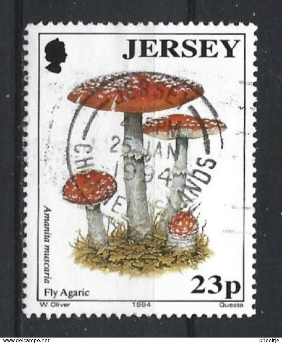 Jersey 1994 Mushroom Y.T. 634 (0) - Jersey