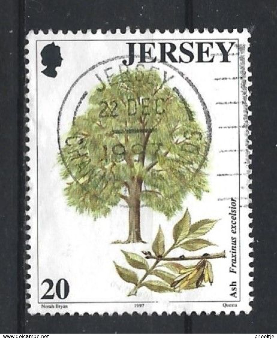 Jersey 1997 Tree Y.T. 793 (0) - Jersey