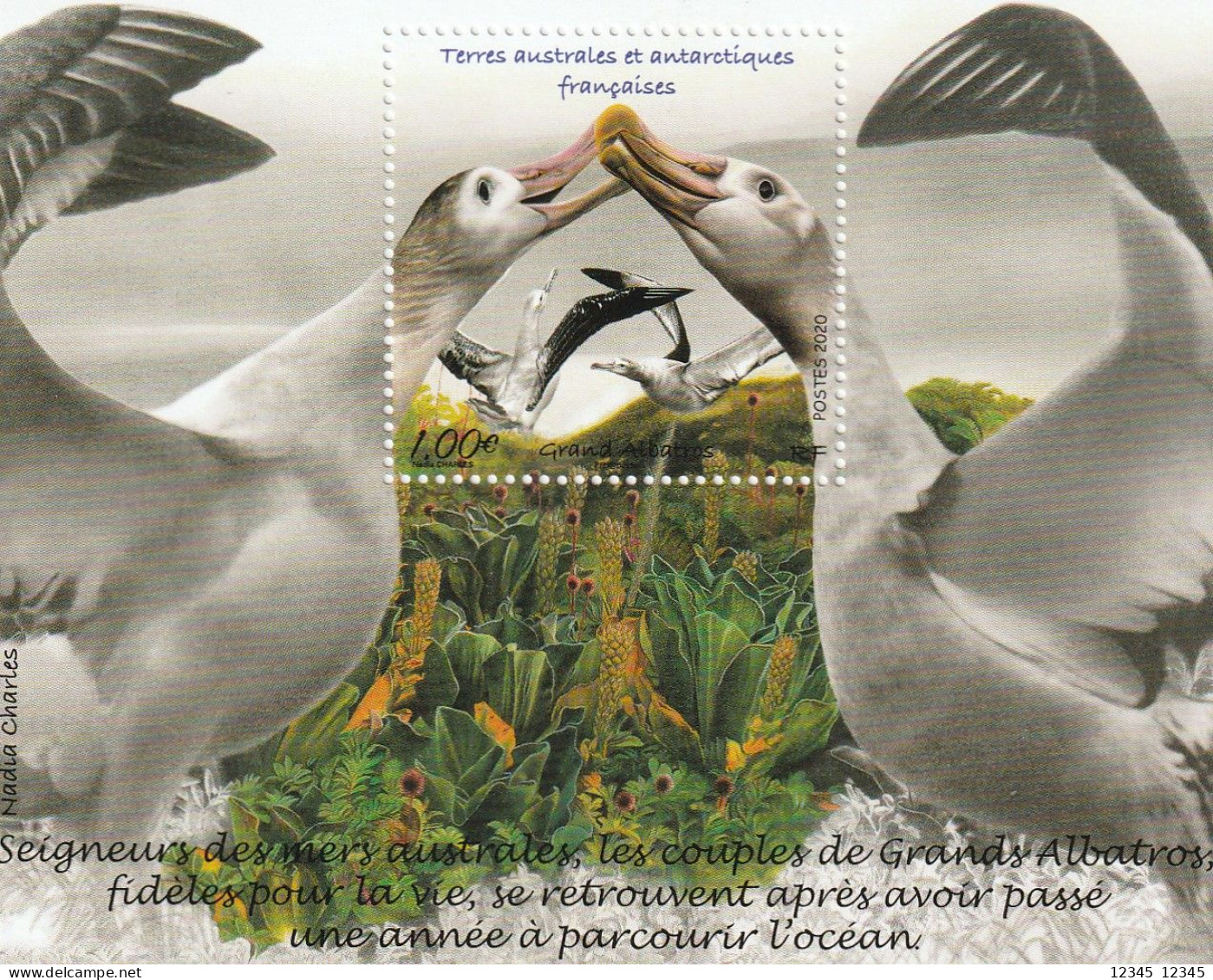 Frans Antarctica 2020, Postfris MNH, Birds - Ungebraucht
