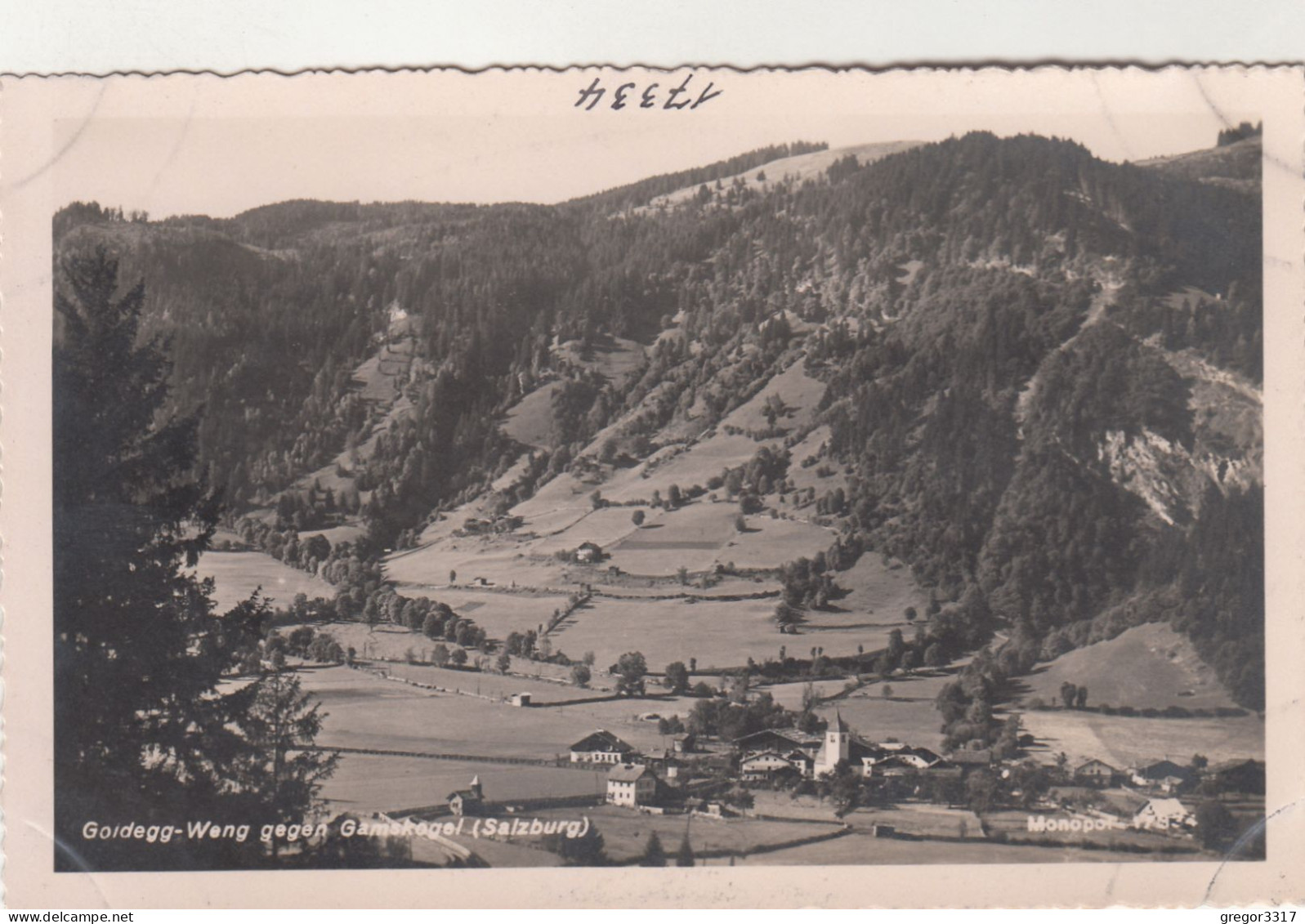 E4928) GOLDEGG WENG Gegen Gamskogel - Salzburg  Alte FOTO AK - Goldegg