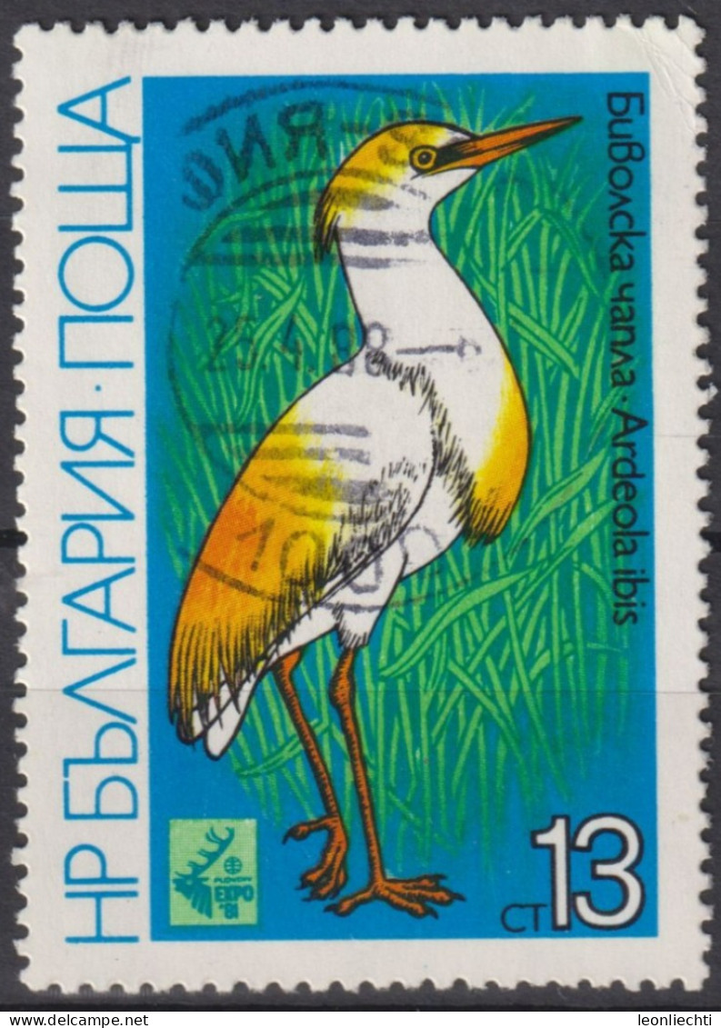 1981 Bulgarien ° Mi:BG 2984, Yt:BG 2619, Cattle Egret (Bubulcus Ibis), International Hunting Exhibition EXPO '81, - Oblitérés