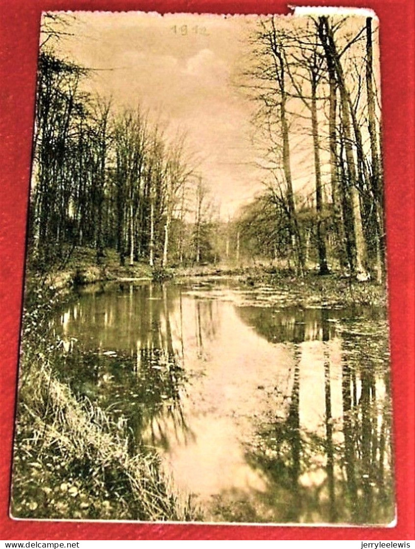 BRUXELLES - FORÊT DE SOIGNES  -  Etang De L' Ermite (vallon De La Vuylbeek)    -   1912 - Forêts, Parcs, Jardins