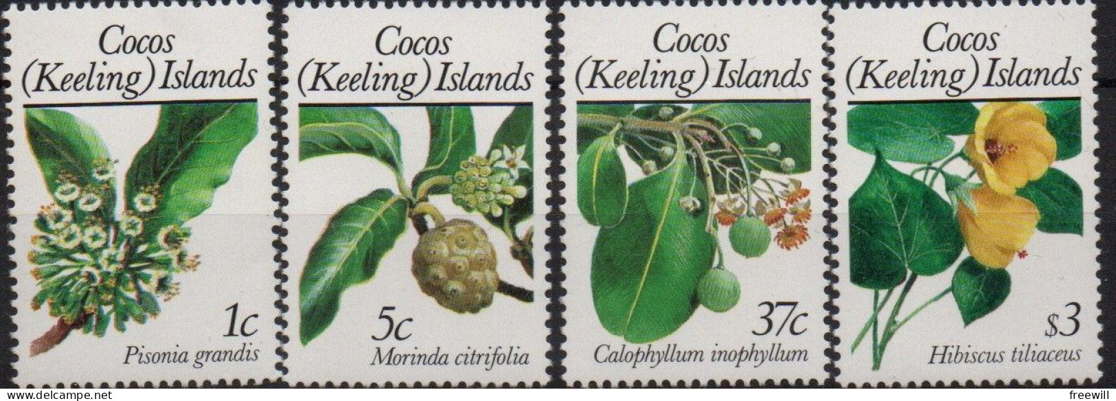 Arbres- Trees -Bomen 1988 XXX - Kokosinseln (Keeling Islands)