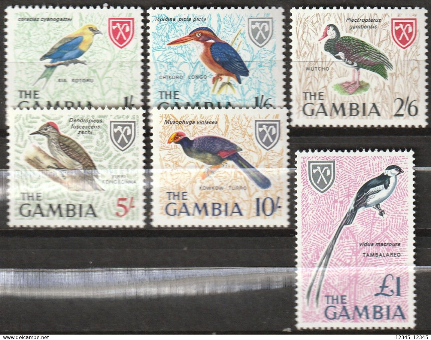 Gambia 1966, Postfris MNH, Birds (high Values) - Gambie (1965-...)