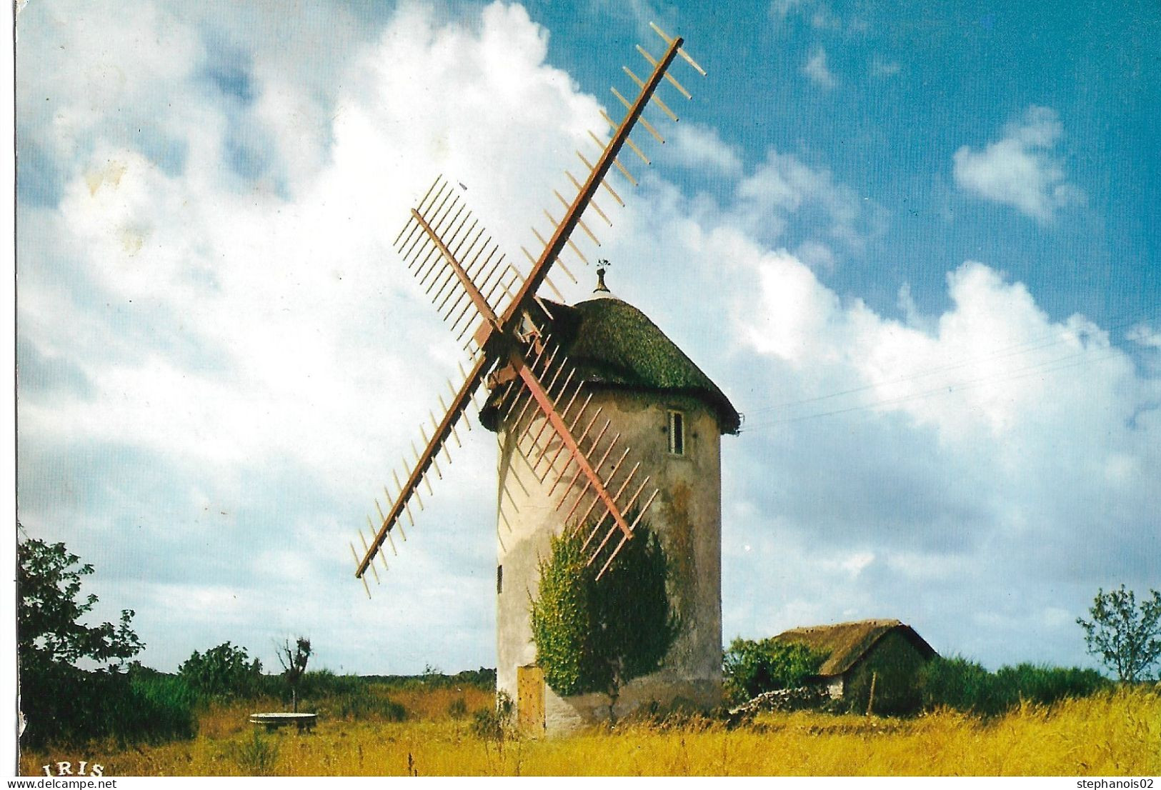 La Brière-St Joachim.Moulin A Vent Et Chaumière - Saint-Joachim