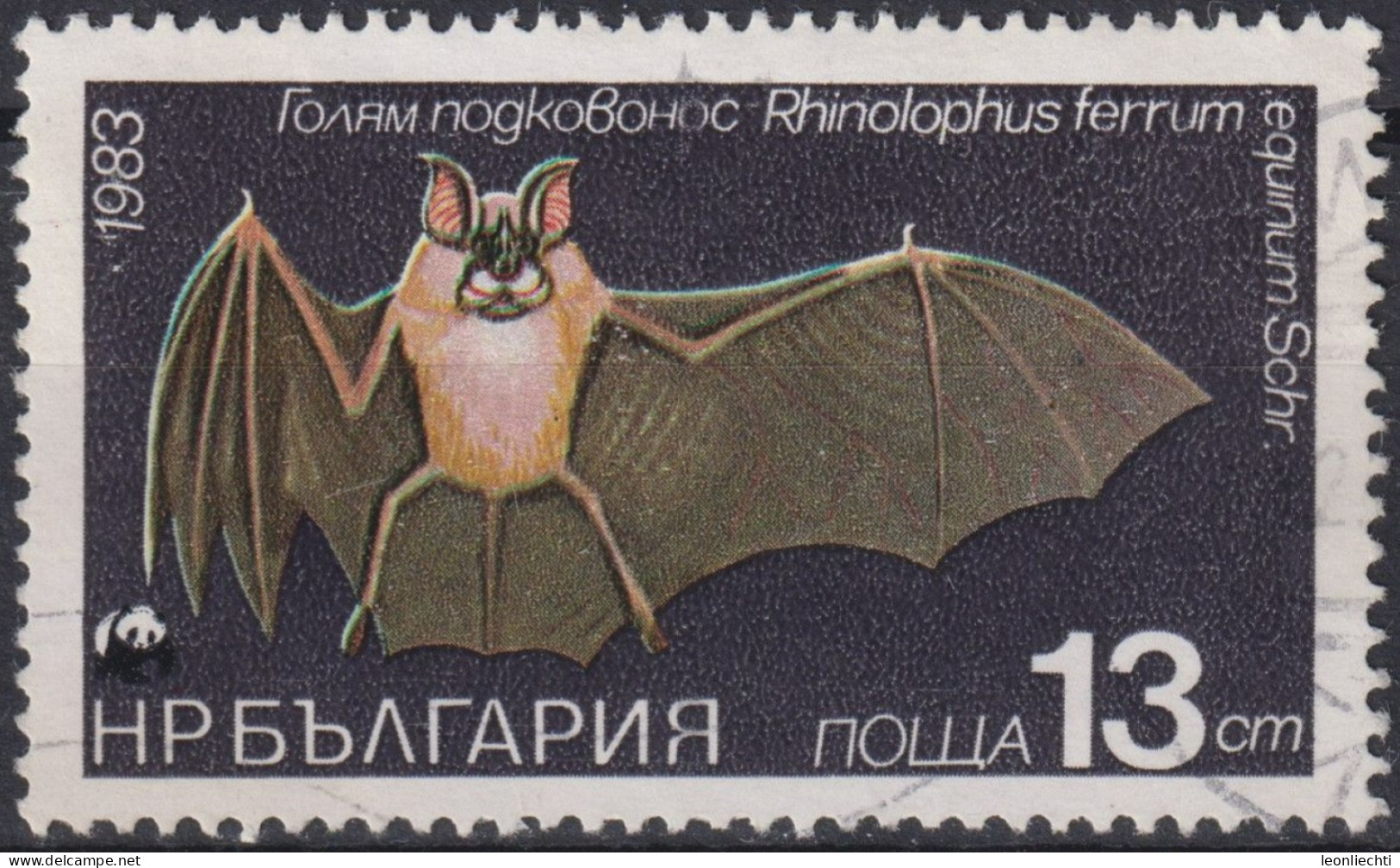1983 Bulgarien ° Mi:BG 3237, Sn:BG 2943, Yt:BG 2817, Greater Horseshoe Bat (Rhinolophus Ferrumequinum), Fledermaus - Oblitérés