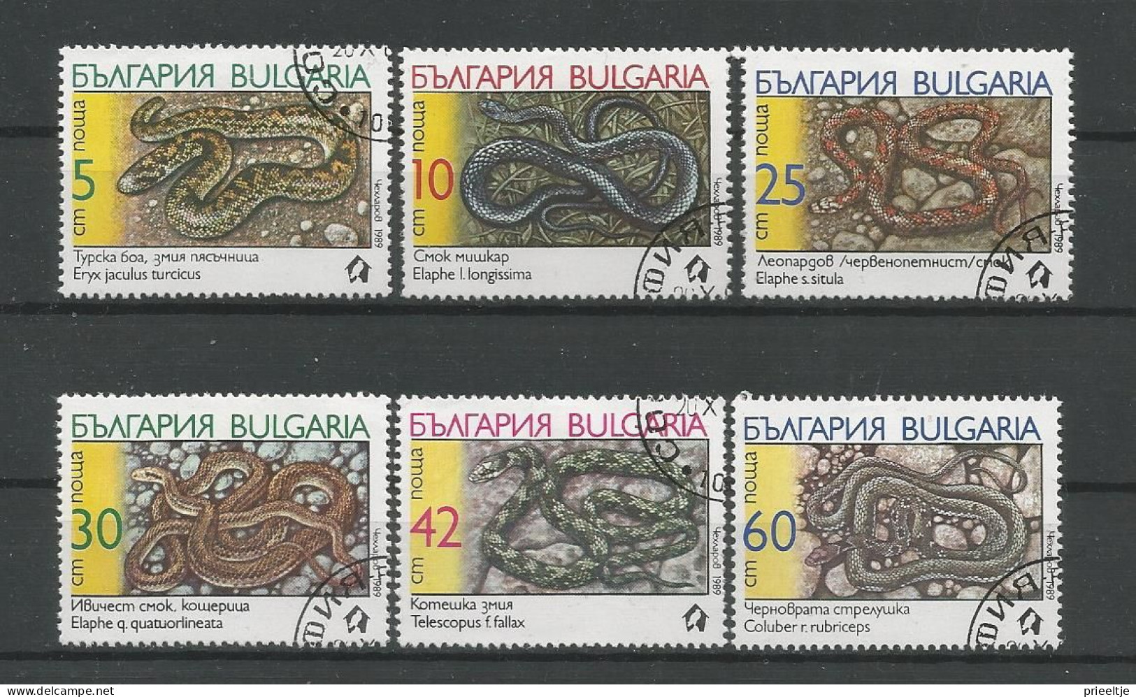Bulgaria 1989 Snakes Y.T. 3268/3273 (0) - Oblitérés