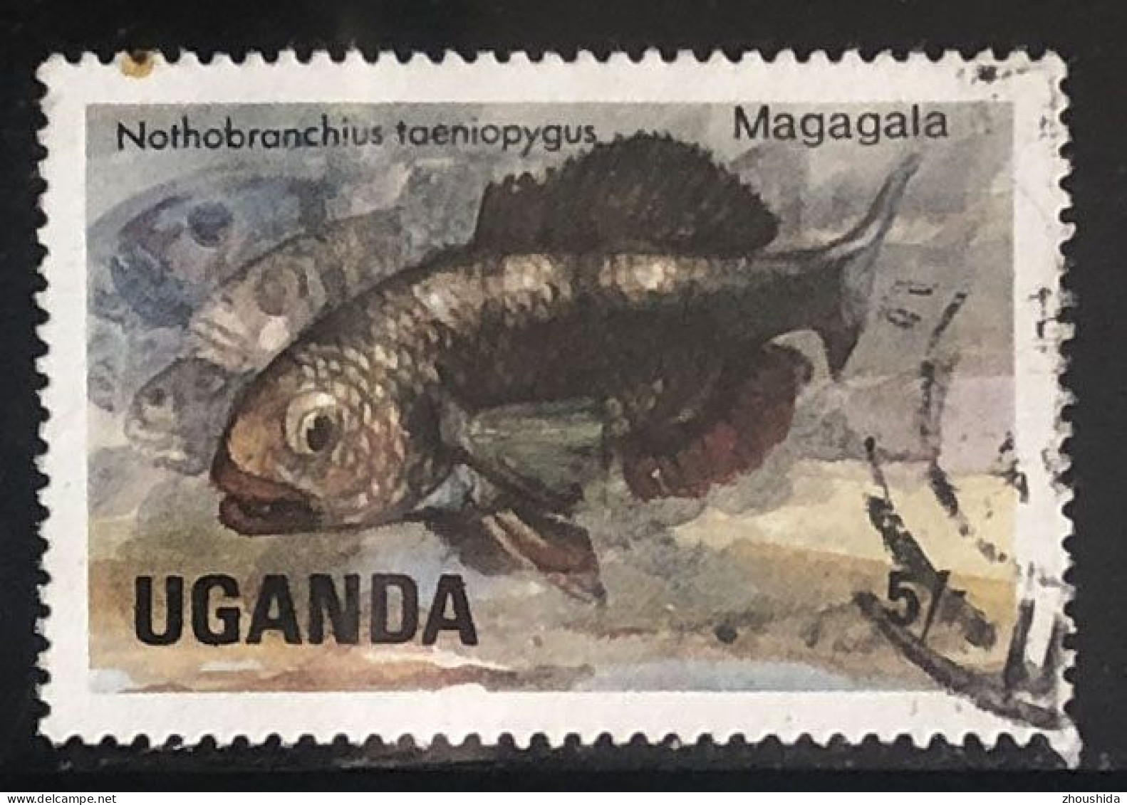Uganda Fish 5sh Fine Used - Ouganda (1962-...)