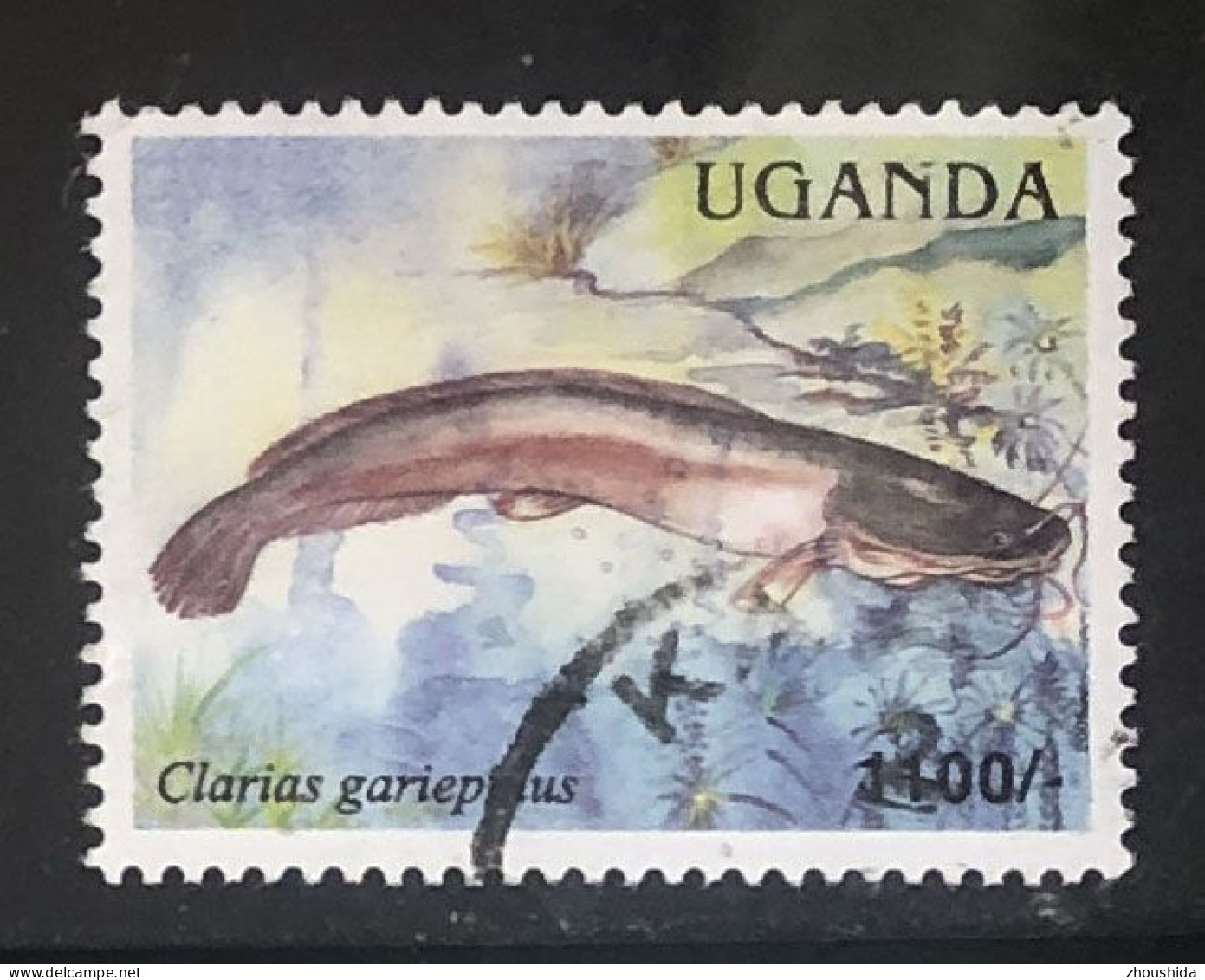 Uganda Fish 1100sh Fine Used - Ouganda (1962-...)