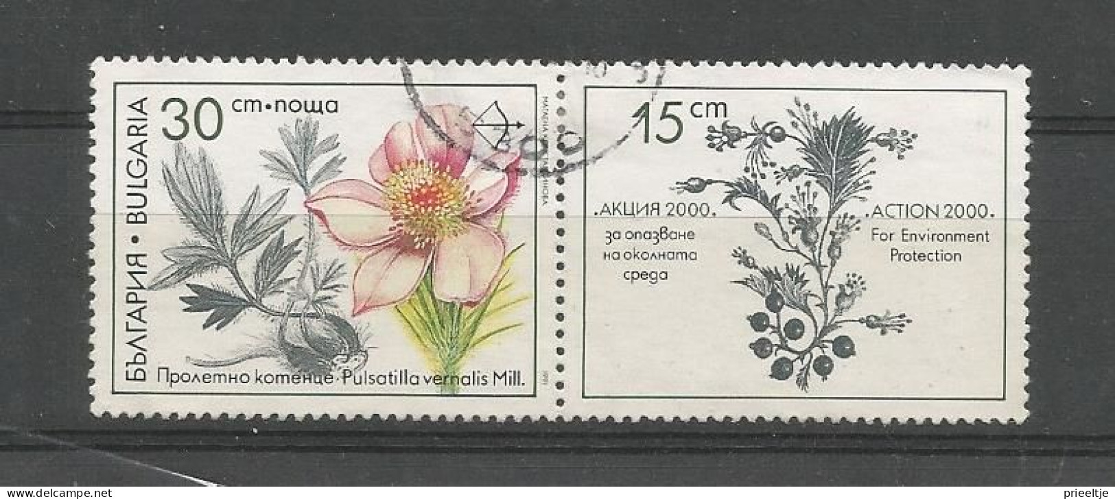 Bulgaria 1991 Plant + Vignet Environment Protection  Y.T. 3418 (0) - Used Stamps