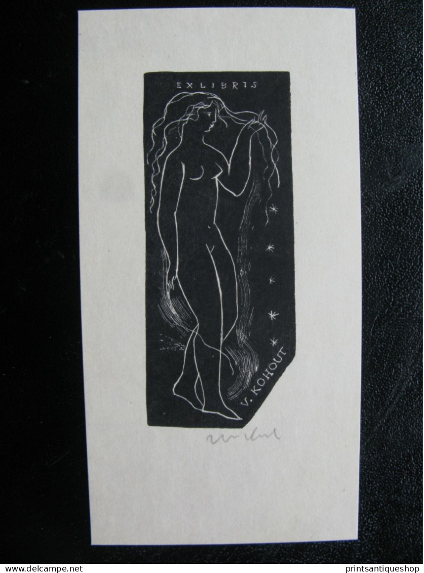 Lot 5x Erotisches Exlibris Bookplate Erotic Nude  Ex Libris Etching Print Ratislav Michal *1936 Czech - Exlibris