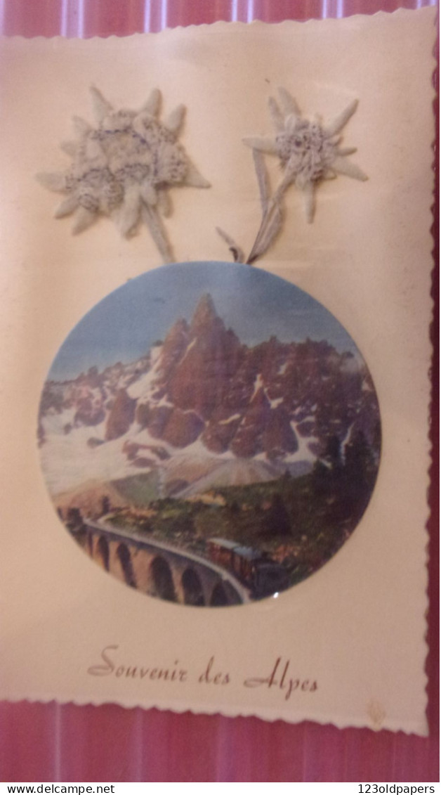 SOUVENIR DES ALPES Edelweiss Fleur Des Glaciers,  Fleurs Collées - Otros & Sin Clasificación