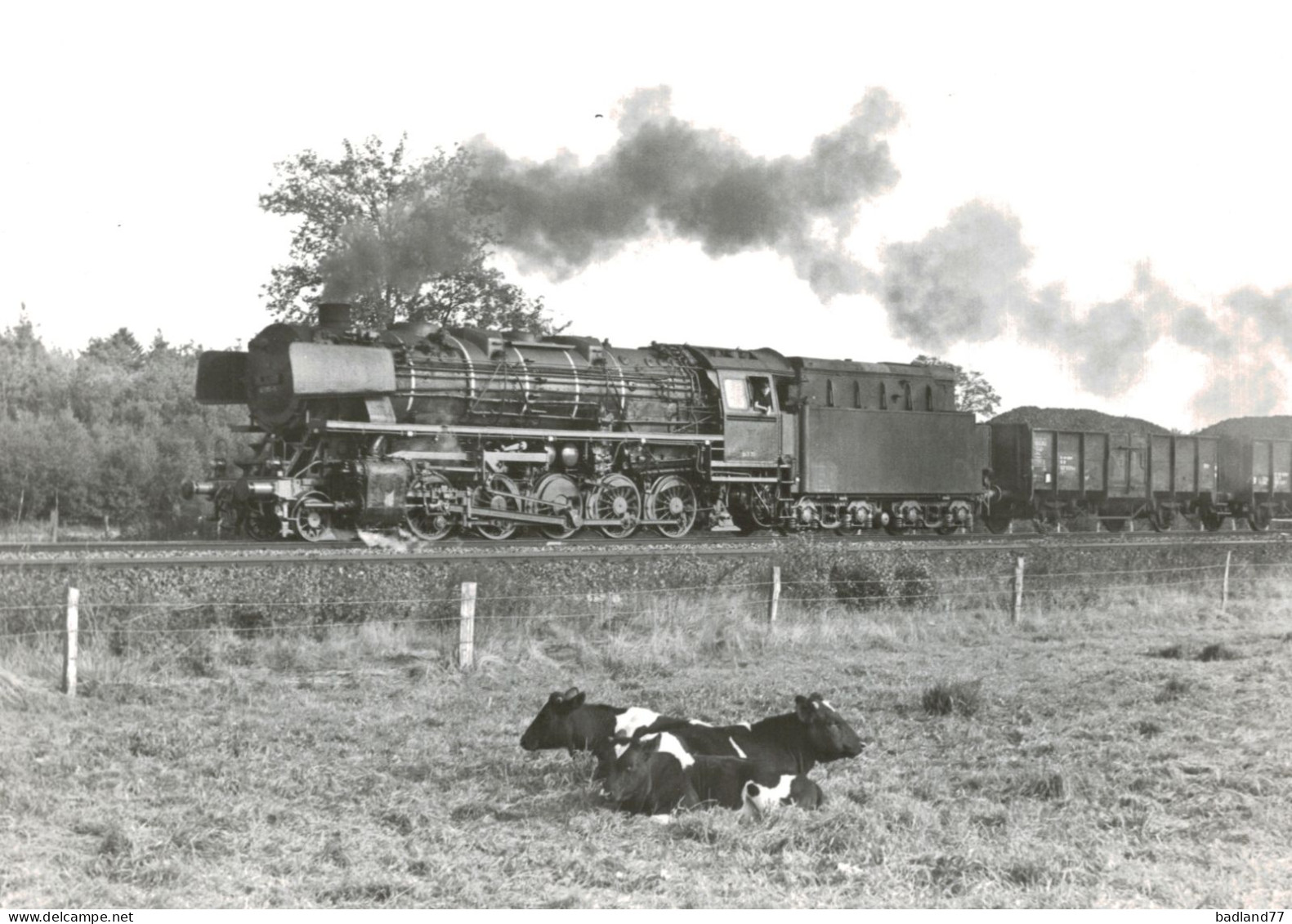 Locomotive Allemande - DB Dampflokomotive -  - Eisenbahnverkehr