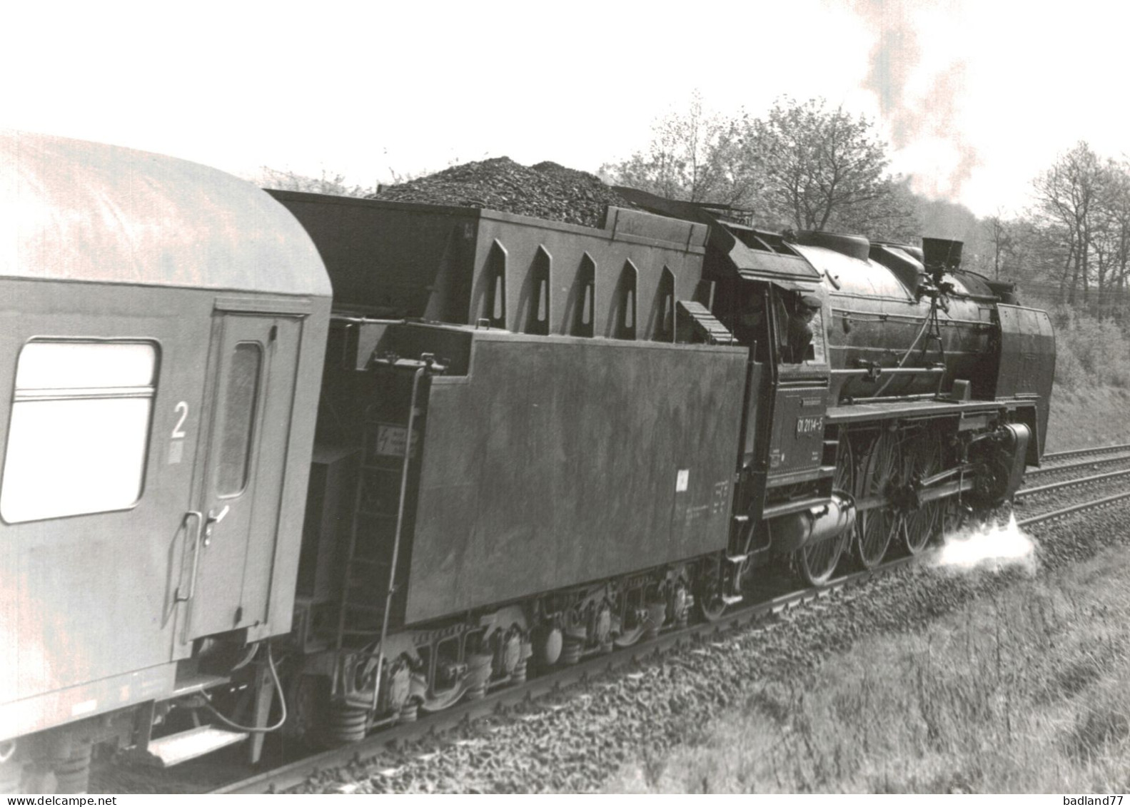 Locomotive Allemande - DB Dampflokomotive - 01 2114  D. Saalfeld  5-80 -  H.Palmer - Railway