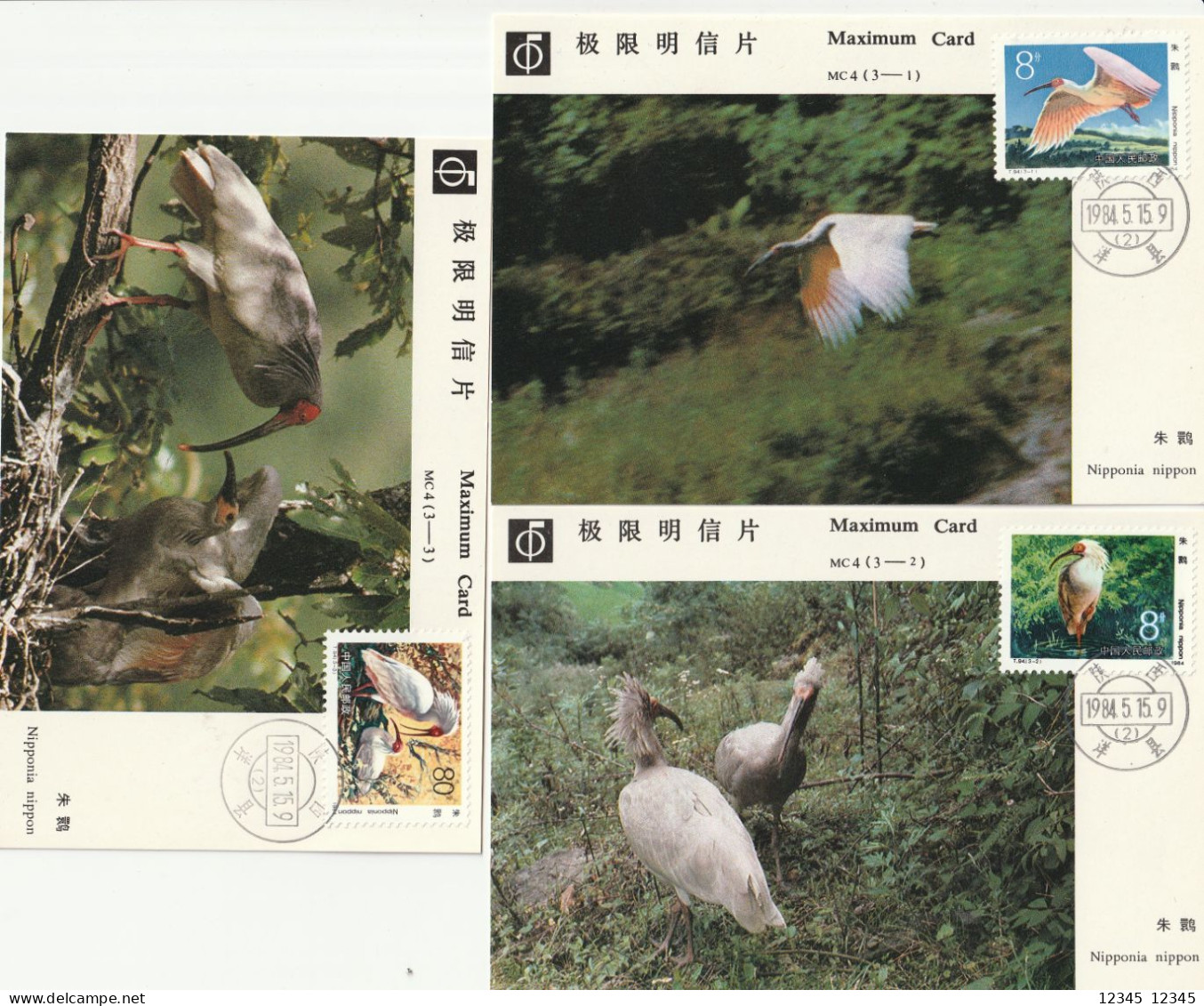 China 1984, Maximumcard Unused, Birds - Cartes-maximum