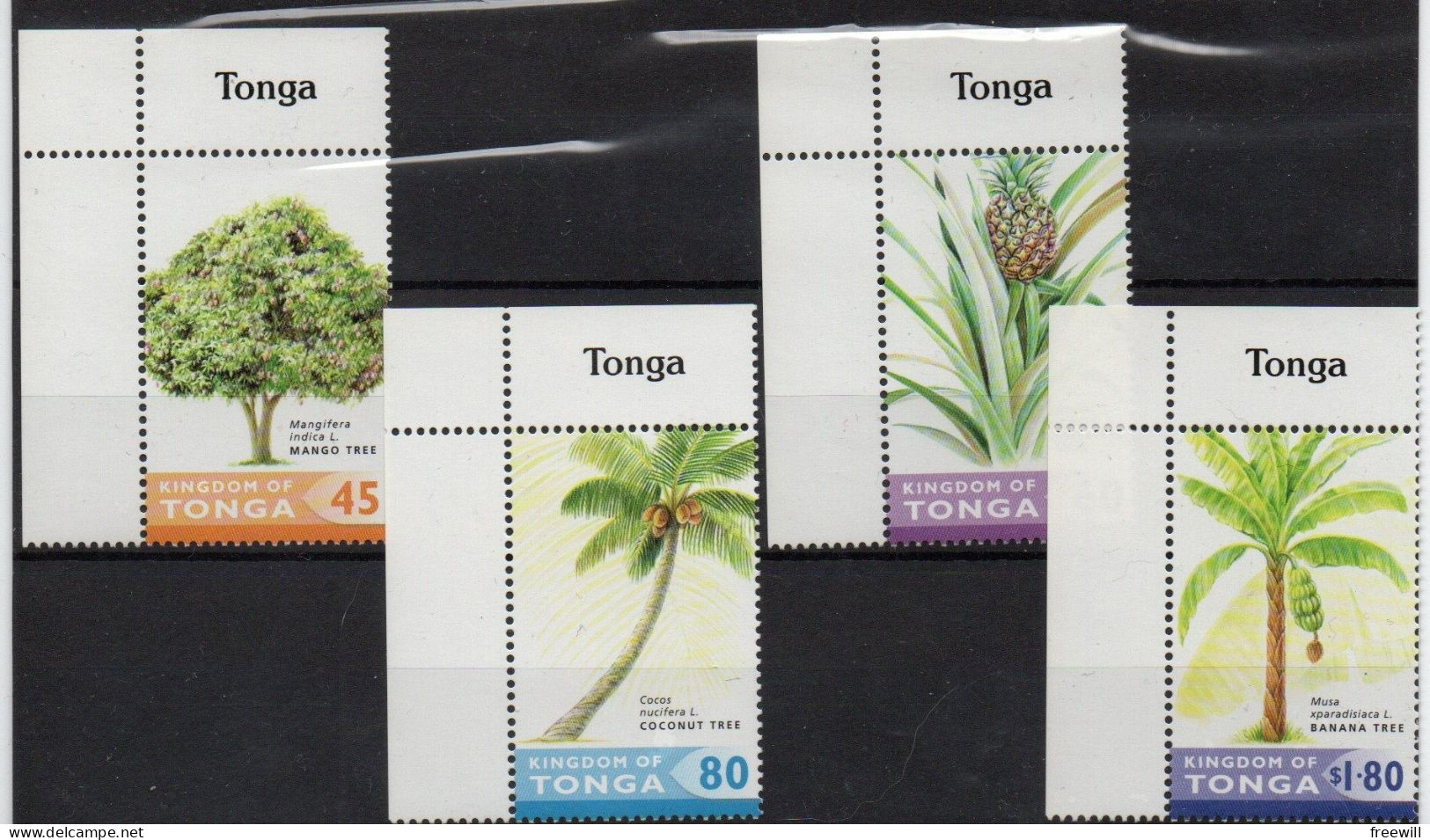 Tonga Arbres- Trees -Bomen  XXX 2004 - Tonga (1970-...)